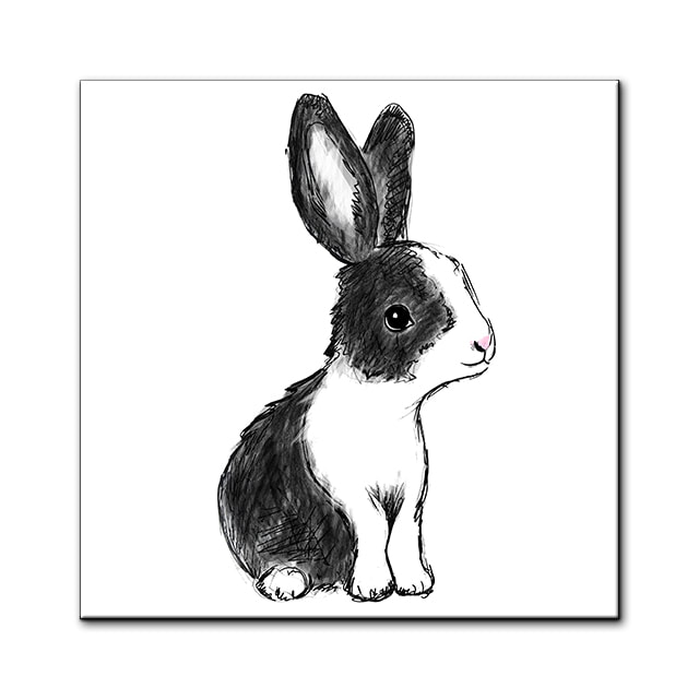 dwarf rabbit black and white